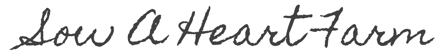 Sow a Heart_Logo