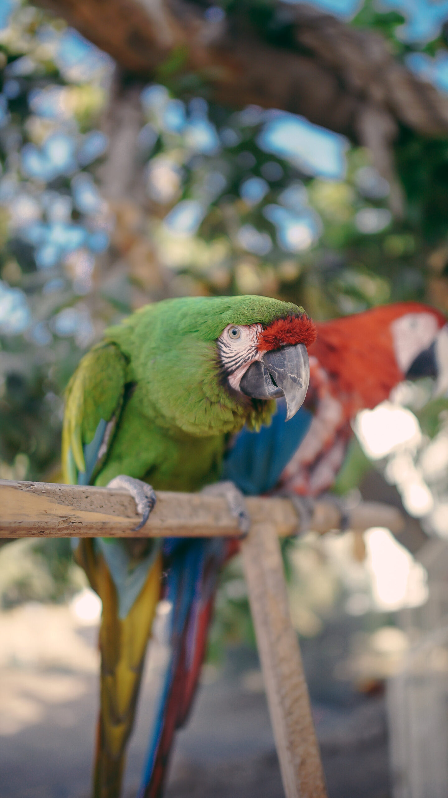 Image placeholder indicating a missing photo, often used in web design and content management systems.
